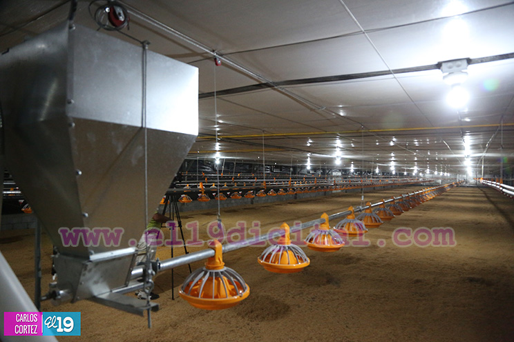 Moderna Granja Av&iacute;cola en Tipitapa